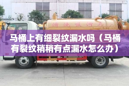 馬桶上有細裂紋漏水嗎（馬桶有裂紋稍稍有點漏水怎么辦）