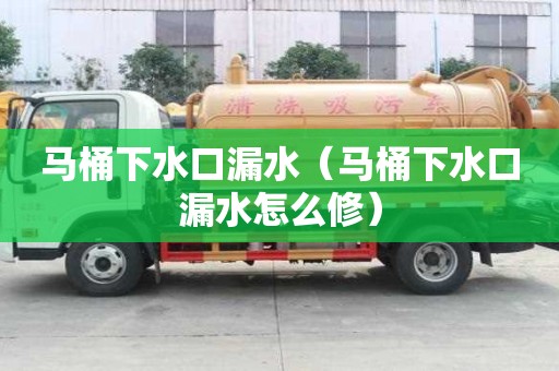馬桶下水口漏水（馬桶下水口漏水怎么修）