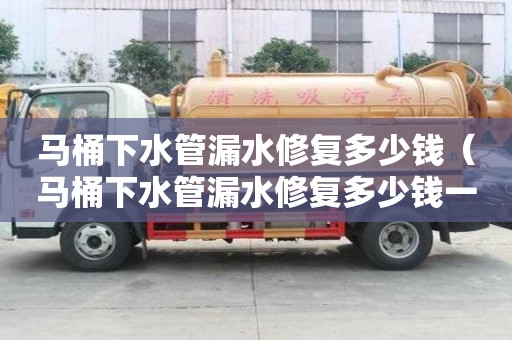 馬桶下水管漏水修復多少錢（馬桶下水管漏水修復多少錢一個）
