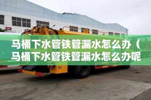 馬桶下水管鐵管漏水怎么辦（馬桶下水管鐵管漏水怎么辦呢）