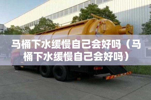 馬桶下水緩慢自己會好嗎（馬桶下水緩慢自己會好嗎）