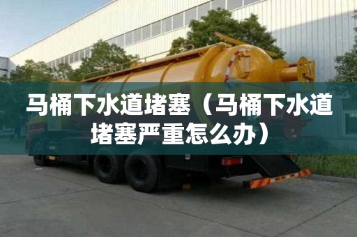馬桶下水道堵塞（馬桶下水道堵塞嚴重怎么辦）