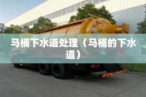 馬桶下水道處理（馬桶的下水道）