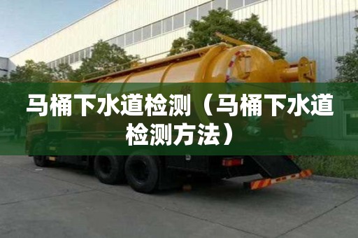 馬桶下水道檢測(cè)（馬桶下水道檢測(cè)方法）