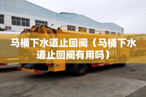 馬桶下水道止回閥（馬桶下水道止回閥有用嗎）