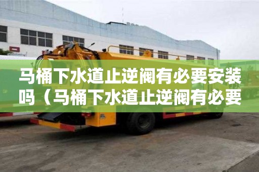 馬桶下水道止逆閥有必要安裝嗎（馬桶下水道止逆閥有必要安裝嗎圖片）