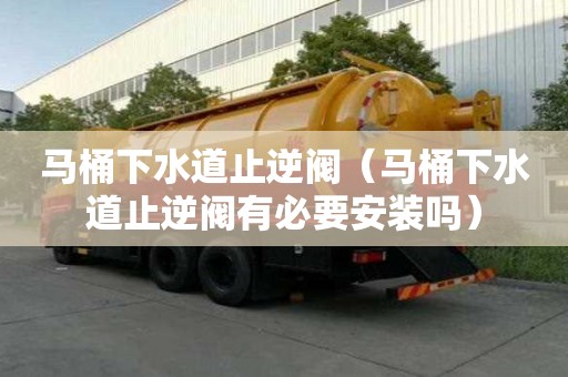 馬桶下水道止逆閥（馬桶下水道止逆閥有必要安裝嗎）