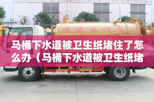 馬桶下水道被衛(wèi)生紙堵住了怎么辦（馬桶下水道被衛(wèi)生紙堵住了怎么辦啊）
