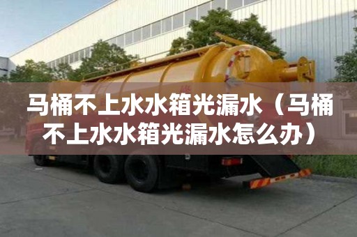 馬桶不上水水箱光漏水(馬桶不上水水箱光漏水怎么辦) 馬桶不上水水箱光漏水(馬桶不上水水箱光漏水怎么辦)