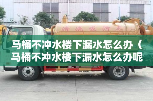 馬桶不沖水樓下漏水怎么辦（馬桶不沖水樓下漏水怎么辦呢）