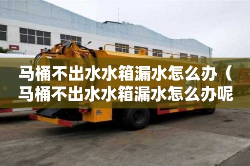 馬桶不出水水箱漏水怎么辦（馬桶不出水水箱漏水怎么辦呢）