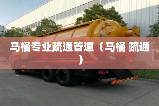 馬桶專業疏通管道（馬桶 疏通）
