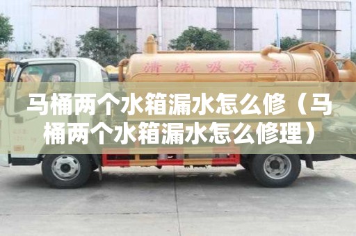 馬桶兩個水箱漏水怎么修（馬桶兩個水箱漏水怎么修理）