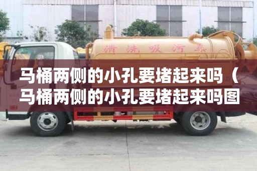 馬桶兩側(cè)的小孔要堵起來嗎（馬桶兩側(cè)的小孔要堵起來嗎圖片）