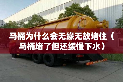 馬桶為什么會無緣無故堵住（馬桶堵了但還緩慢下水）