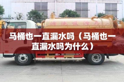 馬桶也一直漏水嗎（馬桶也一直漏水嗎為什么）