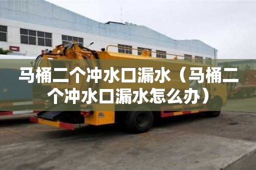 馬桶二個沖水口漏水（馬桶二個沖水口漏水怎么辦）