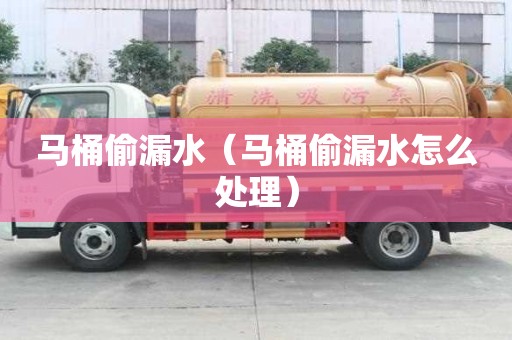 馬桶偷漏水（馬桶偷漏水怎么處理）