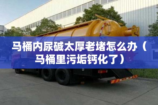 馬桶內尿堿太厚老堵怎么辦（馬桶里污垢鈣化了）