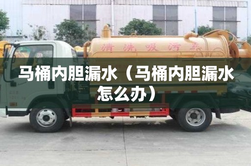 馬桶內膽漏水（馬桶內膽漏水怎么辦）