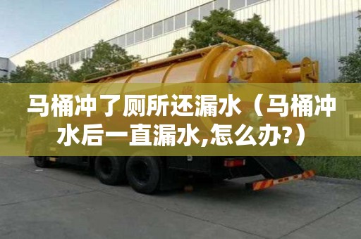 馬桶沖了廁所還漏水（馬桶沖水后一直漏水,怎么辦?）