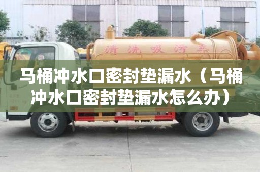馬桶沖水口密封墊漏水（馬桶沖水口密封墊漏水怎么辦）