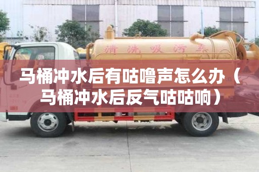 馬桶沖水后有咕嚕聲怎么辦（馬桶沖水后反氣咕咕響）