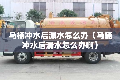 馬桶沖水后漏水怎么辦（馬桶沖水后漏水怎么辦啊）