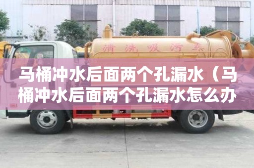 馬桶沖水后面兩個孔漏水（馬桶沖水后面兩個孔漏水怎么辦）