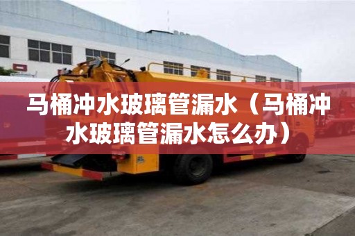 馬桶沖水玻璃管漏水（馬桶沖水玻璃管漏水怎么辦）