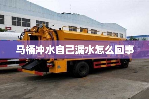 馬桶沖水自己漏水怎么回事