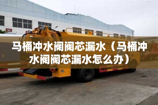 馬桶沖水閥閥芯漏水（馬桶沖水閥閥芯漏水怎么辦）