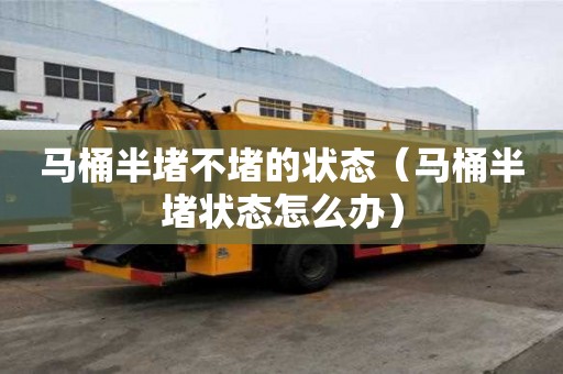 馬桶半堵不堵的狀態(tài)（馬桶半堵狀態(tài)怎么辦）