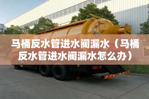 馬桶反水管進水閥漏水（馬桶反水管進水閥漏水怎么辦）