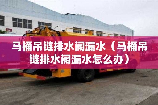 馬桶吊鏈排水閥漏水（馬桶吊鏈排水閥漏水怎么辦）