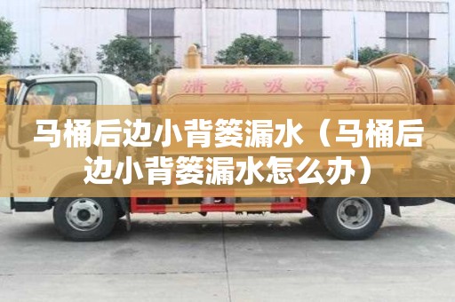 馬桶后邊小背簍漏水（馬桶后邊小背簍漏水怎么辦）