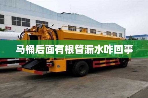 馬桶后面有根管漏水咋回事