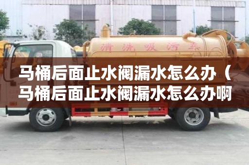 馬桶后面止水閥漏水怎么辦（馬桶后面止水閥漏水怎么辦啊）