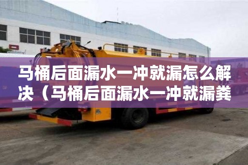 馬桶后面漏水一沖就漏怎么解決（馬桶后面漏水一沖就漏糞便）