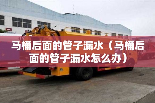 馬桶后面的管子漏水（馬桶后面的管子漏水怎么辦）