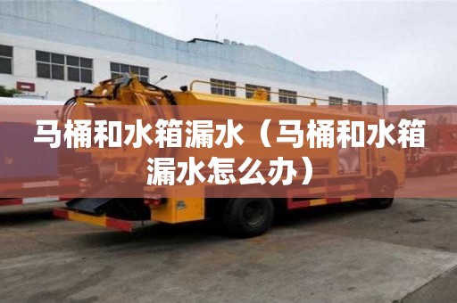 馬桶和水箱漏水（馬桶和水箱漏水怎么辦）