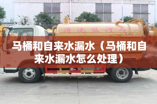 馬桶和自來水漏水(馬桶和自來水漏水怎么處理) 馬桶和自來水漏水(馬桶和自來水漏水怎么處理)