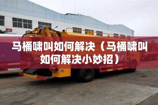 馬桶嘯叫如何解決（馬桶嘯叫如何解決小妙招）