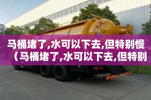 馬桶堵了,水可以下去,但特別慢（馬桶堵了,水可以下去,但特別慢怎么辦）