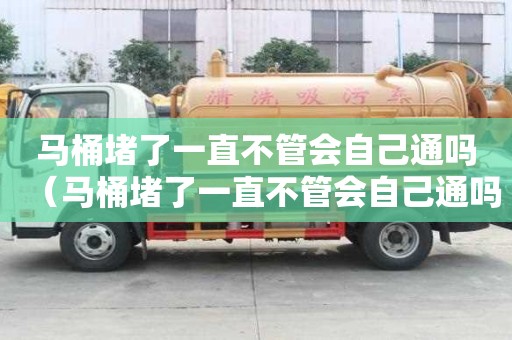 馬桶堵了一直不管會自己通嗎（馬桶堵了一直不管會自己通嗎圖片）