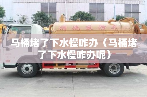 馬桶堵了下水慢咋辦（馬桶堵了下水慢咋辦呢）