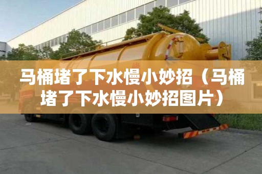馬桶堵了下水慢小妙招(馬桶堵了下水慢小妙招圖片) 馬桶堵了下水慢小妙招(馬桶堵了下水慢小妙招圖片)