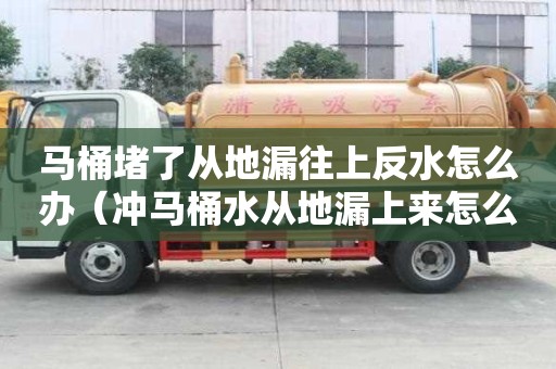 馬桶堵了從地漏往上反水怎么辦(沖馬桶水從地漏上來怎么辦) 馬桶堵了從地漏往上反水怎么辦(沖馬桶水從地漏上來怎么辦)