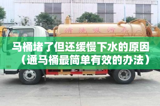 馬桶堵了但還緩慢下水的原因（通馬桶最簡單有效的辦法）