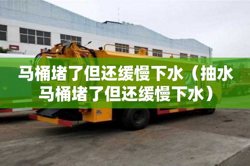 馬桶堵了但還緩慢下水（抽水馬桶堵了但還緩慢下水）